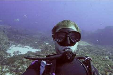 South Africa - Aliwal Shoal - Scuba diving trip