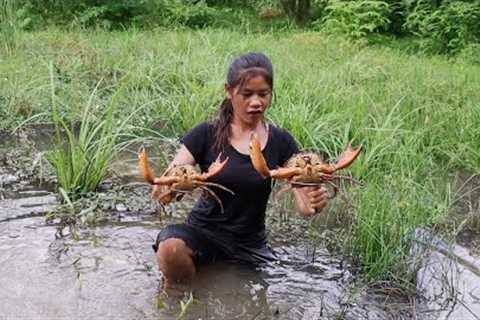 Wow Big crabs ! Catching and Cooking for jungle food, Eating Crabs Delicious