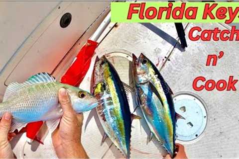 Black Fin Tuna and Mangrove Snapper Catch n Cook!