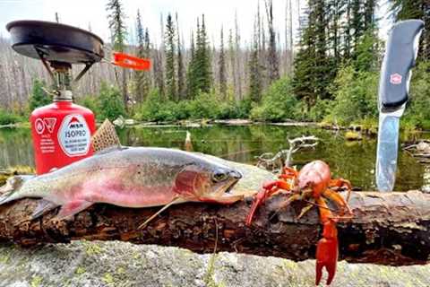 SOLO Mountain Trout Fishing &amp; WILD Crawfish Boil!!! (Catch, Cook, Camp)