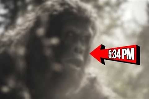 New Trail Cam Footage That Will Leave You SHOCKED