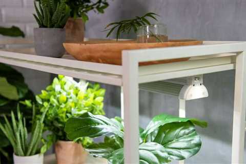 How to Grow Fruits and Veggies Indoors All Year Long
