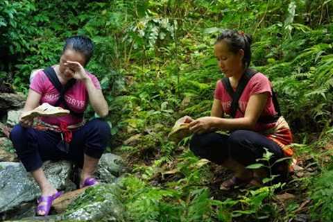 The husband went missing for unknown reasons, only one of his sandals was found