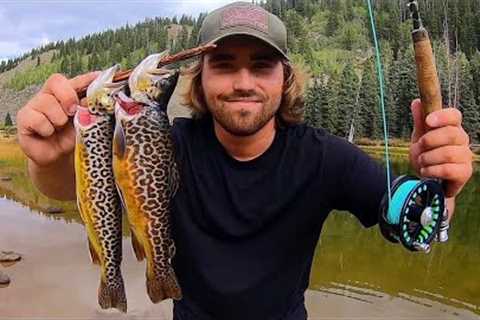 Off-Roading to New Lakes in the Mountains for Tiger Trout!! - Fly Fishing Catch &amp; Cook
