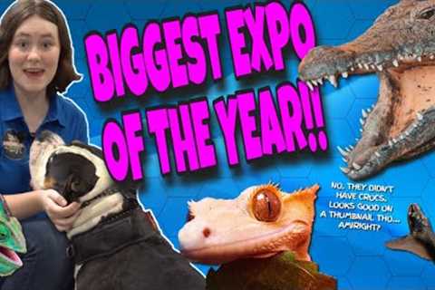 BIGGEST PET EXPO OF 2023! I Got a DREAM Reptile!!  #reptileexpo