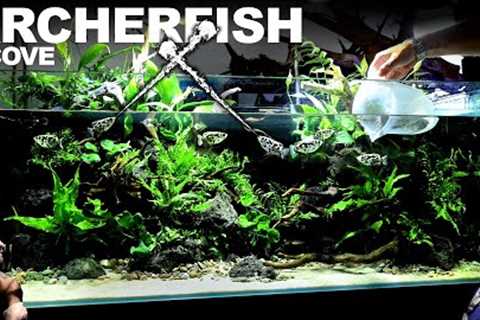 AMAZING 4ft Archerfish / Paludarium / Aquaterrarium / Aquarium: EPIC BUILD