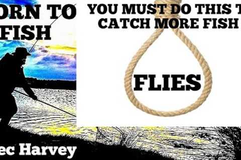 FLY FISHING - TIP TO CATCH MORE FISH