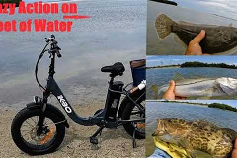 Crazy Action using one of the BEST lures!! Fishing with my KBO Electrics Bike