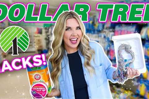 23 Dollar Tree Hacks that BEAT Amazon