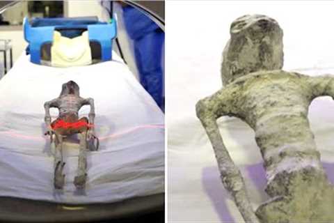 This NASA Worker Just Announced They Will Study Mexico's Alien's That Were Shown At The UAP Hearing