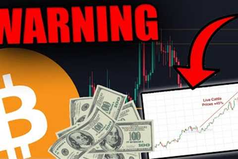 BITCOIN TRADERS: YOU ARE WRONG ABOUT THE NEXT BITCOIN MOVE
