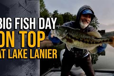 Big Fish Day On Top At Lake Lanier #lakelanierfishing2023  #topwaterfishing