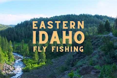 Its the best side of the Tetons? Successful Spring Fly Fishing Eastern Idaho