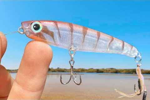 Micro Top Water Lure Fishing