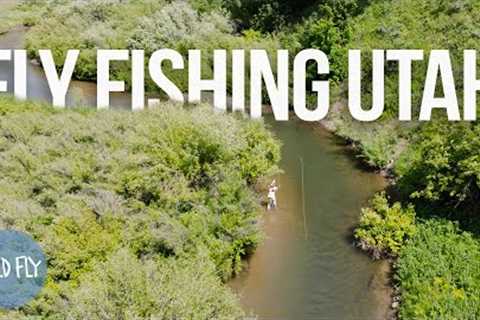 3 Days of Fly Fishing &amp; Euro Van Camping in Utah