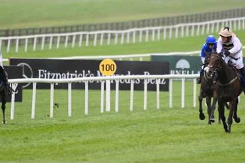Oh no! Jockey makes huge mistake &amp; throws away certain victory.