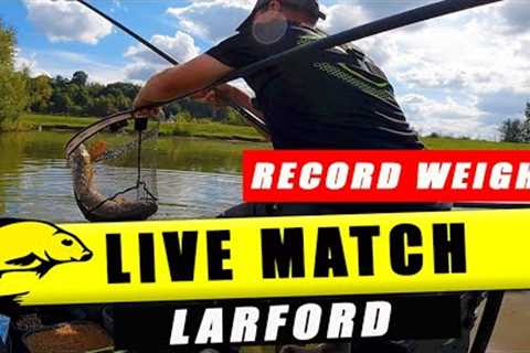 My BIGGEST EVER match fishing weight! Larford Lakes Live Match