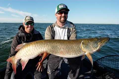 Musky Fishing on Leech Lake - The Guide Life 2023