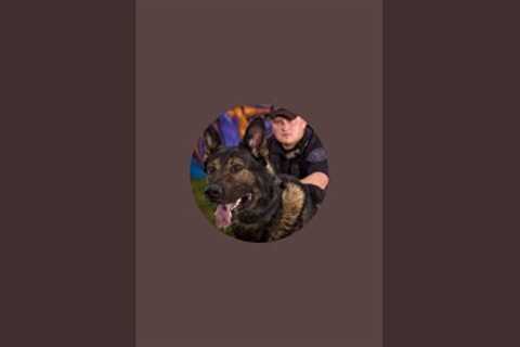 Live Dog Training and BBQ Grilling