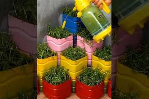 🪴New Era of Gardening with plastic bottles🪴 Gradening new ideas