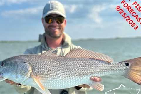Mossy Creek Fly Fishing Forecast 9/25/2023