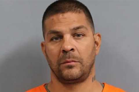 Man Who Called 911 Saying He Was 'Being Attacked' by Bears Was Drunk and 'Just Wanted Ride Out of..