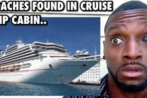 Carnival Passenger Forced To Stay In Room With Roaches