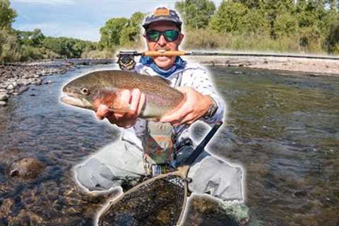 Fishing Small Stream Packed with Big Rainbow Trout! NEW PB!