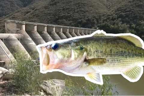Finally fishing the dam (Lake Hodges Bass Fishing)