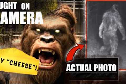 [ MUST WATCH ] SASQUATCH CAUGHT On TRAIL CAMERA - We Weren't Supposed To See This | #bigfoot 2023
