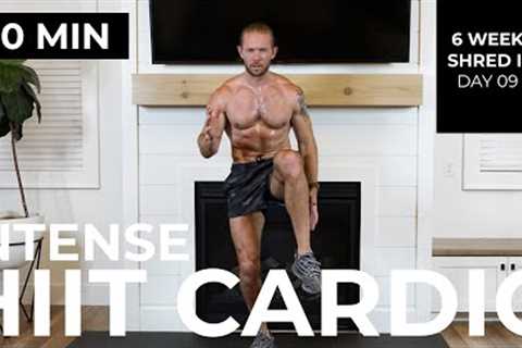Day 9: 30 Min 🔥 INSANITY 🔥 HIIT Cardio Endurance Workout [No Equipment] | 6 Week Shred II