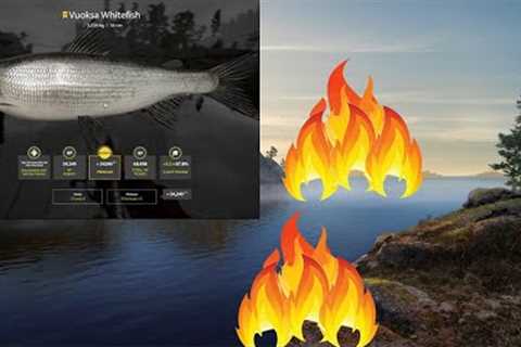 Vuoksa Whitefish Trophy spot + Setup,Ladoga Lake; Russian fishing 4~ Rf4