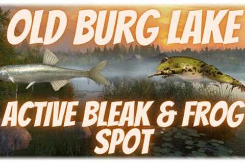 Russian Fishing 4 Active Bleak &amp; Frog Spot Old Burg Lake