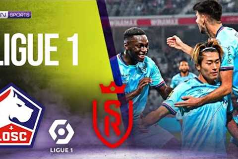 Lille vs Reims | LIGUE 1 HIGHLIGHTS | 09/26/2023 | beIN SPORTS USA