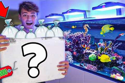 BUYING $2,000 in FISH for My SALTWATER REEF AQUARIUM!!