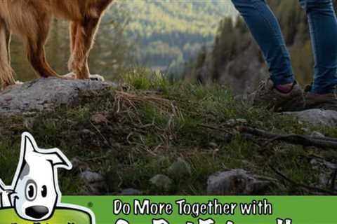 Hiking Safety: Encountering Predators On The Trail
