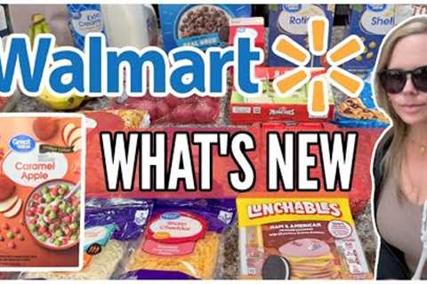 Walmart Shop With Me + Walmart Grocery Haul Fall 2023