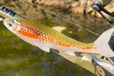 Making a Finesse Minnow FlatSided JerkBait