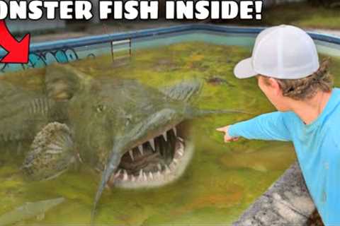 I Caught a MAN EATING Fish in an Abandoned Pool!