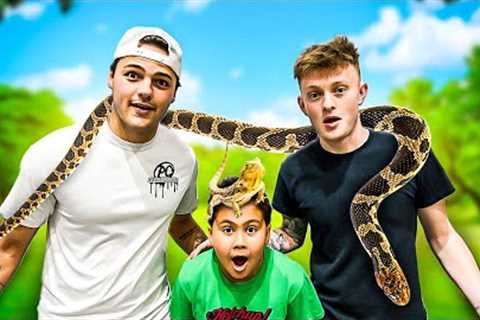 BUYING EXOTIC PETS FROM A REPTILE SHOW!!