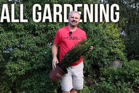 October Garden Checklist - Fall Gardening Ideas