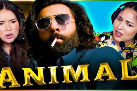 ANIMAL Teaser Reaction w/Achara &amp; Steph! | Ranbir K. | Rashmika M, Anil K, Bobby D