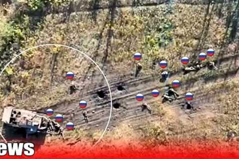 They are left to rot in Ukrainian soil🔥Ukraine war footage