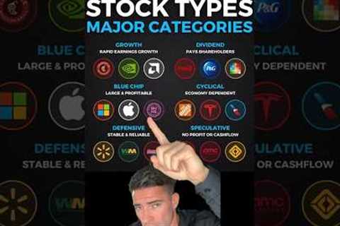 The Ultimate Stock Investing Portfolio