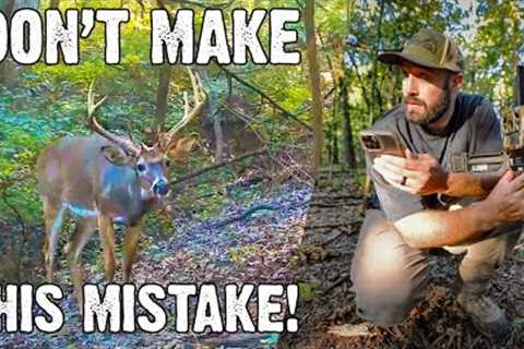 Don't make this mistake! Scouting before you hunt - Trail Camera Tips