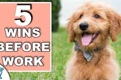 Your 10 Minute Morning Puppy Training Plan