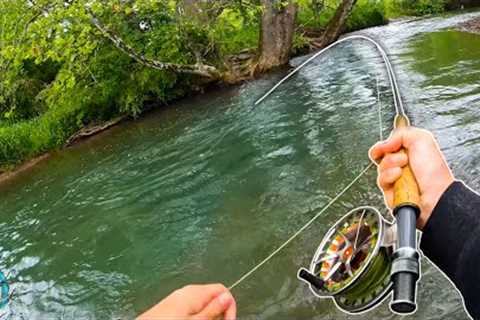 STREAMER FLY FISHING FOR GIANT BROWNS! || Best Day of Trout Fishing