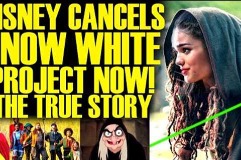 DISNEY CANCELLED SNOW WHITE PROJECT! The TRUE STORY Arrives &amp; It's A Nightmare For Bob Iger