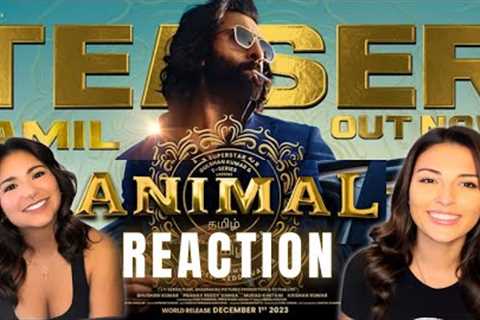 ANIMAL (Official Teaser) - Reaction | Ranbir Kapoor | Rashmika M