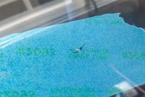 How to Repair Chips and Cracks on Your Windshield